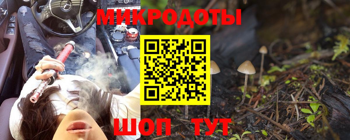 Вичуга  Псилоцибиновые грибы мухоморы  Вход с VPN 